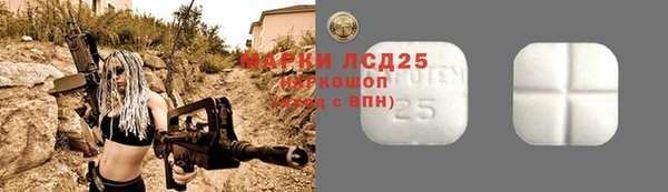 PSILOCYBIN Алзамай