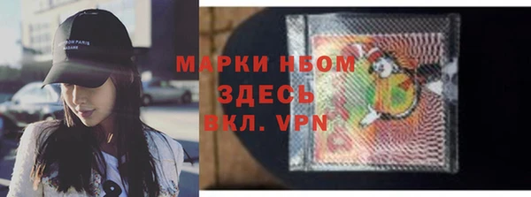 PSILOCYBIN Алзамай