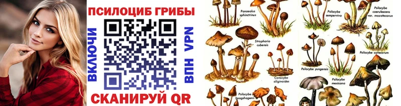 наркота  Обоянь  Псилоцибиновые грибы мухоморы 